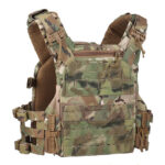 plate-carrier-with-plates