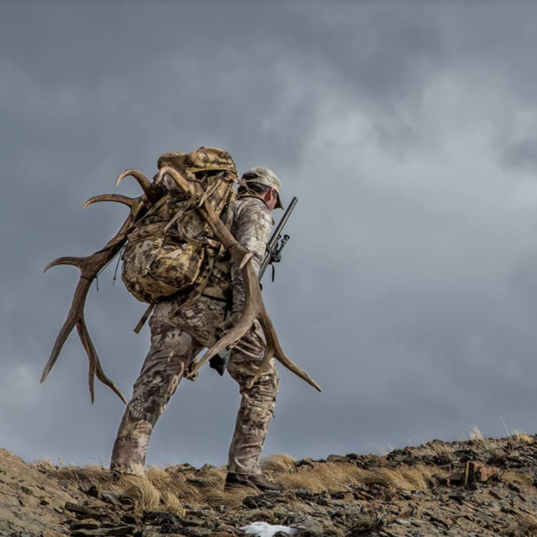 Tactical Backpack Procurement Trends