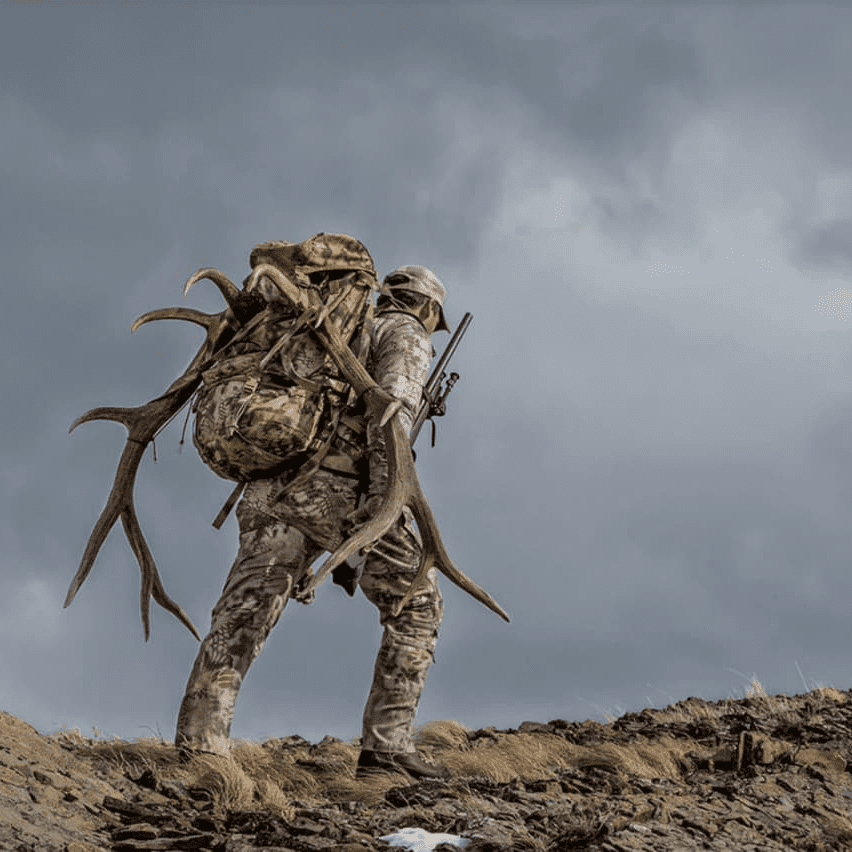 Tactical Backpack Procurement Trends